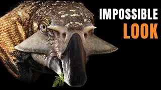 This Dinosaur Had Scales and Feathers &mdash; Science Finally Saw The Truth