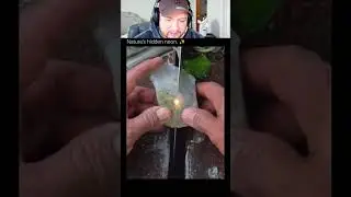 Когда вы находите красоту природы 🪨
