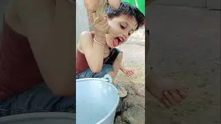 choti choti gaiya vhhf d#tractor #anaya #cow