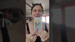 Stop Rushing Spirit's Timeline: Bird Wisdom & the Art of Divine Acceptance | Tarot Reading & Poetry