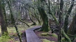 Enchanted Walk at Cradle Mountain, Tasmania