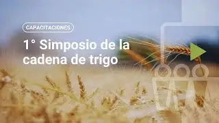 1° Simposio de la cadena de trigo - DÍA 1