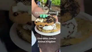 Dino Ice Cream Sandwich #animalkingdom #foodie #foodclips #shorts #disney #disneyworld #icecream