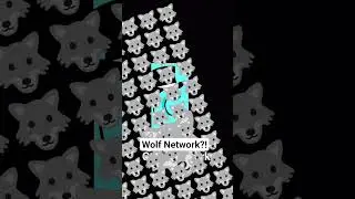 wolf network on ctop network???!?!?