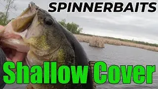Shallow Cover Largemouth: Spinnerbait Tips for More Bass