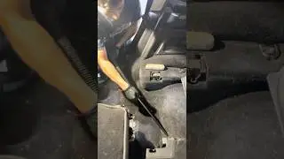 Car Detailing in Greenpoint Brooklyn | Remove Dog Hair, Beach Sand & Dirt at Blue Star Brothers