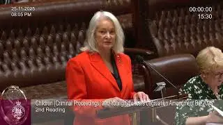 Speaking to the Children (Criminal Proceedings) and Young Offenders Legislation Amendment Bill 2025
