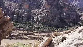 مومياء يمنية الأكثر غرابة وغموض .. حيرت العلماء