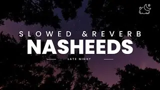 Nasheed Slowed Reverb For Sleep | Emotional Nasheeds | Nasheeds For Studying | Lofi Theme