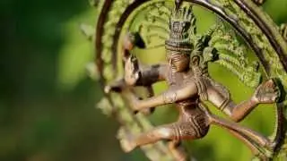 Enjoy In Krishna