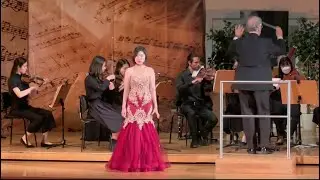 Der Hölle Rache kocht in meinem Herzen - W.A.Mozart. Opera Die Zauberflöte