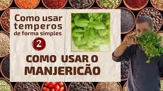 How to use Basil (how to use spices in a simple way #2)