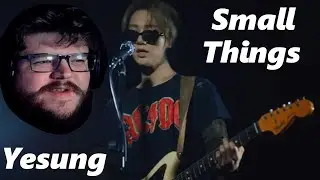 YESUNG'S VOICE CAN CARRY ANY SONG! YESUNG of SUPER JUNIOR (예성) 'Small Things' MV ELF Reaction