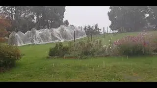 Bizarro World - BwF Snow Day 2020