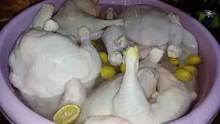 روتين فراخ الشهر👍😉