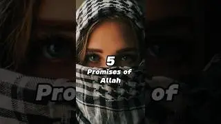5 Promises of Allah You Must Know ✨