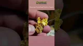 Stunning Crystallized Gold in Quartz #shortsvideo #shorts