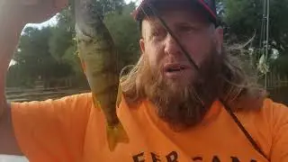 Catching Perch in my Sundolphin Kayak