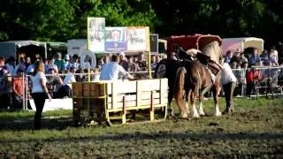 Zugleistung Kötzting 2010  -  Horses pulling in Kötzting, Germany 2010