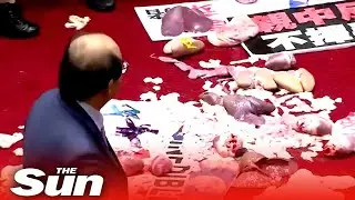 Taiwan MPs throw pig guts & punches in parliament fight