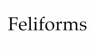 How to Pronounce Feliforms