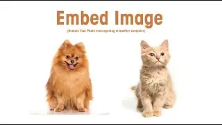Tips to Open illustrator File at another computer or Embed Link photo | Msolved Tech