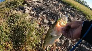 Secret Weapon Fall Bass Fishing! Angler Assets Spinnerbait Doubletake!  2 Fatties Back To Back !