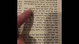 Beshalach - Shevii