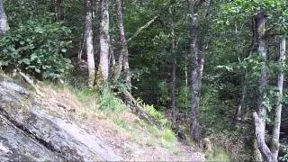 Ardennen - Auby Sur Semois - Les Aleines