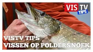VisTV tips - poldersnoek