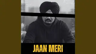 JAAN MERI