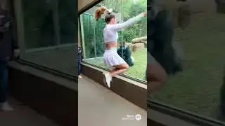 Woman shows off her acrobatic move to a gorilla at the zoo #shorts #aigenerated #trending #zoo