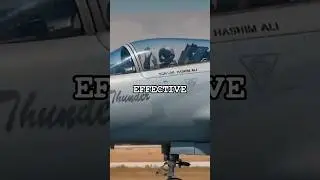 The CHEAPEST fighter jet in the world