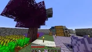 Hearth Well Sneak Peek