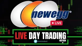 Дневная торговля в реальном времени: акции IMMX, акции NEGG, акции CELZ, акции AFI, акции GNPX, BBIO, BLCT
