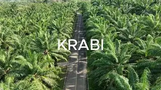 Краби. Что посмотреть.