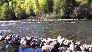 Coloma camping