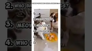 😂🐾 Ranking the FUNNIEST Animal Moments &mdash; Part 2! You won&rsquo;t survive the last clip! #shorts