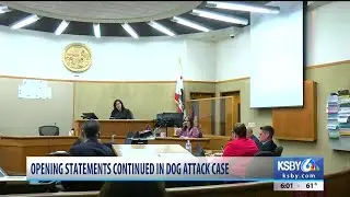 Evidence questioned in deadly Grover Beach dog attack trial