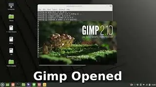 [How To] Installing GIMP Photo Editor for Linux from Terminal