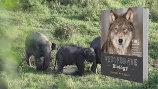 New Wildlife Books from Johns Hopkins University Press