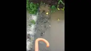 Rampur lake