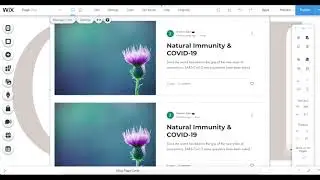Wix Tutorial: How to create categories and blog posts on Wix website