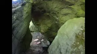 Niagara Glen Hiking Trail