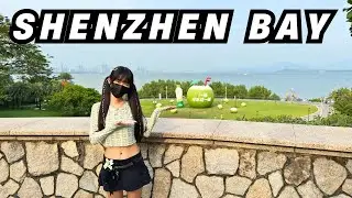 vr180 3D CHINA TRAVEL ｜Shenzhen Bay Park Sunrise Theater Stroll｜SHENZHEN｜深圳湾｜日出剧场