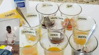 Class 10th कक्षा 10 Science Acid Base experiment अम्ल क्षार प्रयोग artificial लिटमस पेपर हल्दीप्याज 