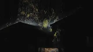 Finally Got the Peaceful Sleep I Needed - Rain & Thunder Sound Therapy 🌧️
