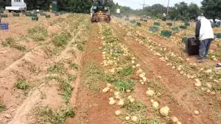 Root Crop Harvester