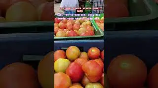#tumkur #tomoto #market #karnataka #youtubeshorts #youtube