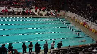 M 200 Free